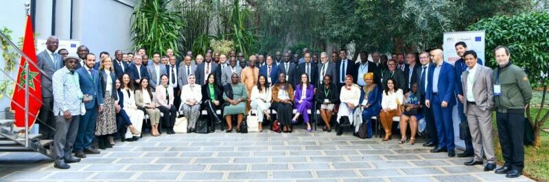 WhatsApp Image 2024-02-20 at 17.42.22