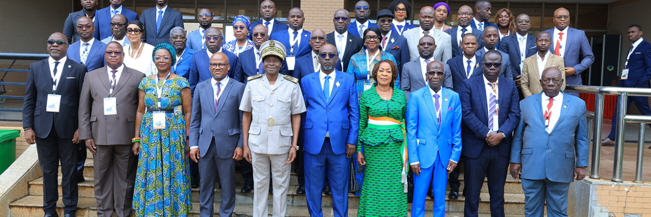 006A9441-IEC SENATEUR copie
