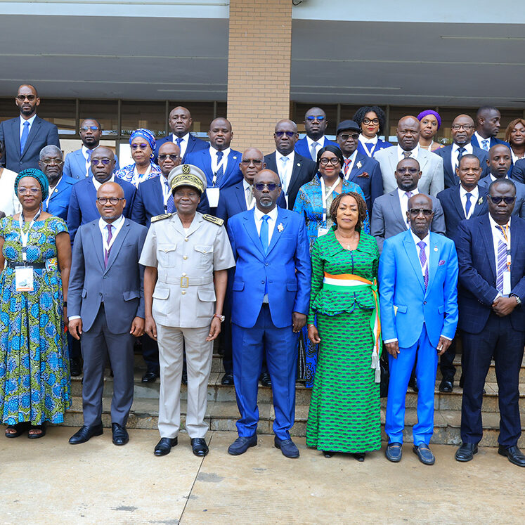 006A9441-IEC SENATEUR copie