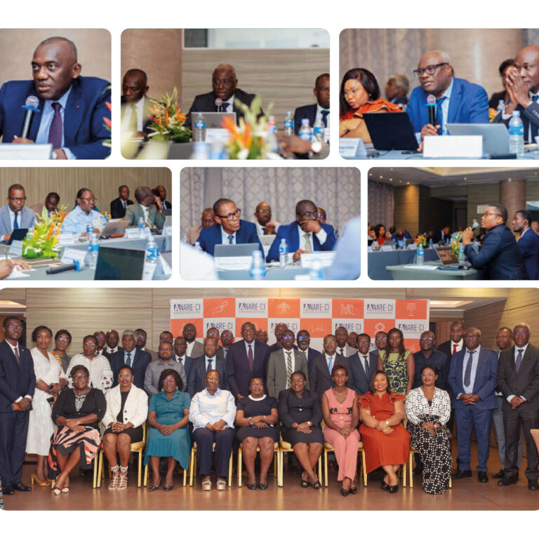 Bilan 2025 et prespectives 2026 Siteweb_ANARECI-05
