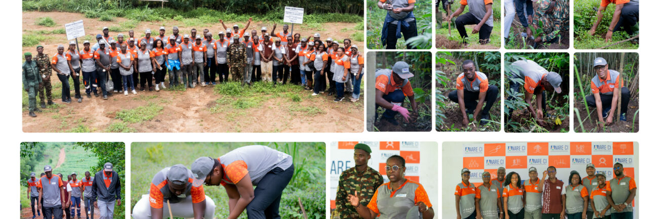 Reboisement phase 2 Siteweb_ANARECI-10