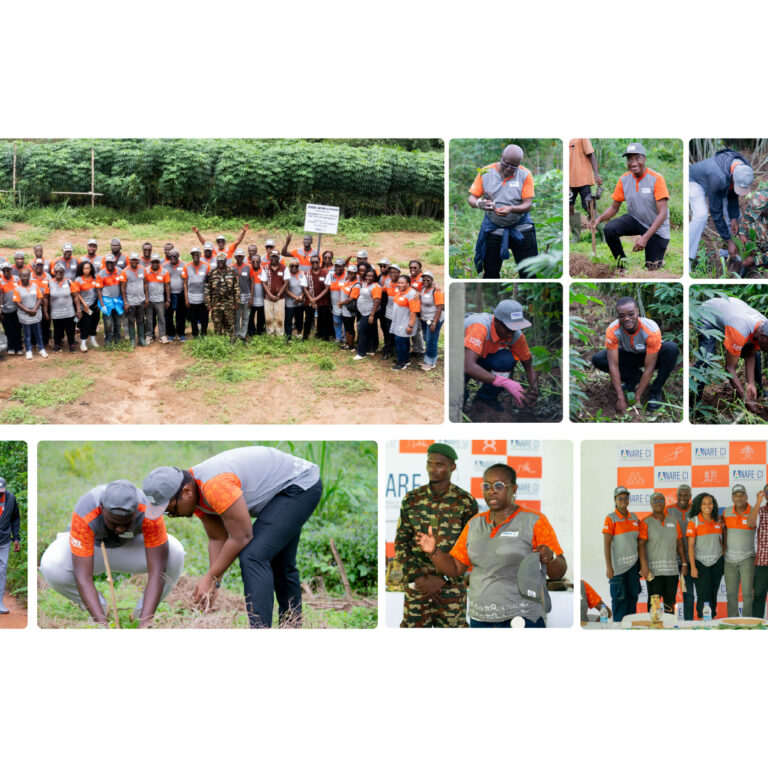 Reboisement phase 2 Siteweb_ANARECI-10